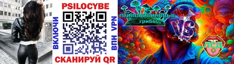 Псилоцибиновые грибы Cubensis  Семикаракорск 